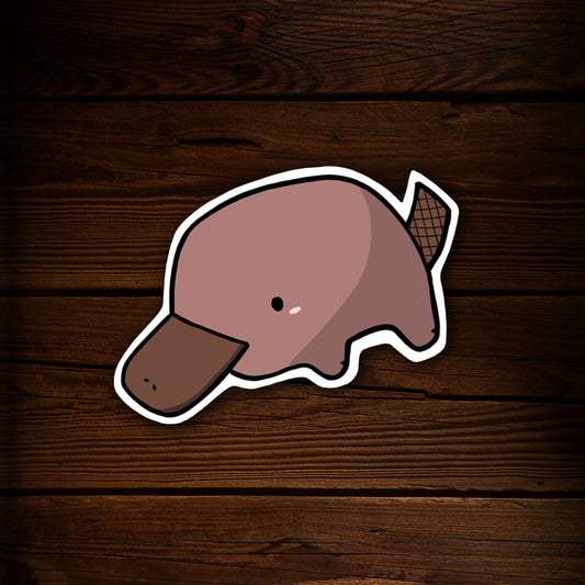 Cute Platypus